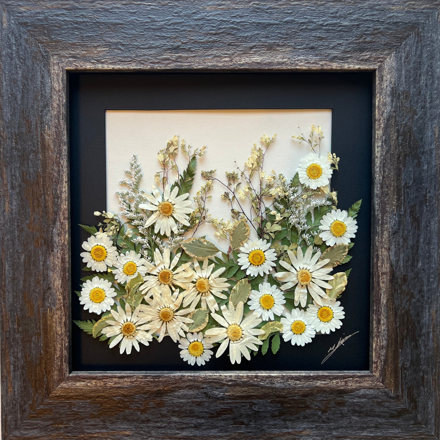 White Flower B4